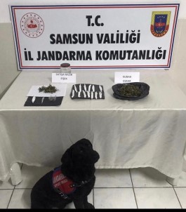 Jandarmadan Uyuşturucuya Geçit Yok