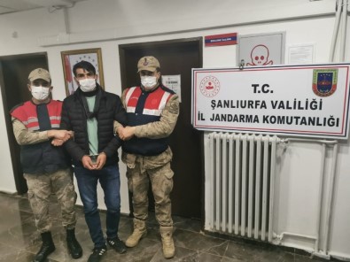 Şanlıurfa'da 15 Yıldır Aranan Cinayet Hükümlüsü Yakalandı
