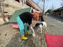 (ÖZEL)Bayat Ekmekler 2 Binden Fazla Hayvana Aş Oluyor