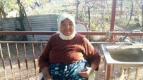 Yaşlı Kadın Çıkan Yangında Hayatını Kaybetti Haberi