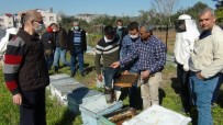 Arıcılara Kış Uykusundan Uyanan Arılarla Uygulamalı Eğitim Haberi