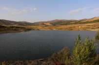 Konya'da Tarımsal Sulama Destekleriyle Endemik Bitkiler Yetişmeye Başladı Haberi