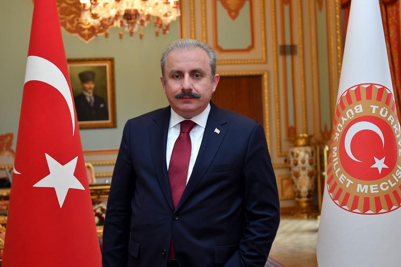 Şentop'tan 'Yeni Anayasa' açıklaması