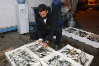 Zonguldak'ta Balıkçılar Limana 2 Bin Kasa Balıkla Döndü