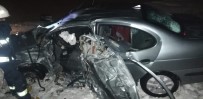 Otomobil Kontrolden Çıktı Açıklaması 2 Yaralı Haberi