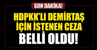 Selahattin Demirtaş’ın 8 yıla kadar hapis cezası istendi