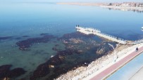 Yağışlar Beyşehir Gölü İçin Olumlu Ama Yetersiz Haberi