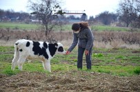 Genç Çiftçi Projesi Üreticilere Nefes Olmaya Devam Ediyor