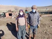 Koyunları Yanan Ayşe Teyzenin Gözyaşları Yürekleri Burktu