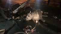 Otomobilin Çarptığı At Arabasının Sürücüsü Öldü, At Yaralandı Haberi