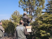 15 Temmuz Şehitler Ormanına Kuşlar İçin Yuva Bırakıldı