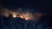 Akçakoca'da Orman Yangını Haberi