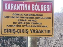 Görele İlçesinde Bir Köy Karantinaya Alındı Haberi