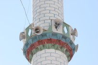 İzmir'de Fırtına Cami Minaresinden Beton Parçalar Koparttı Haberi
