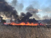 İznik Gölünde Korkutan Yangın Açıklaması 60 Dönüm Arazi Kül Oldu Haberi