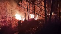 Türkeli'de Orman Yangını Çıktı Haberi