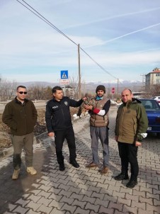 Yaralı Puhu Kuşu Tedavi Altına Alındı
