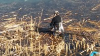 Beyşehir Gölü'nde Balıkçı Ağına Takılan Bahri Kuşu Kurtarıldı Haberi