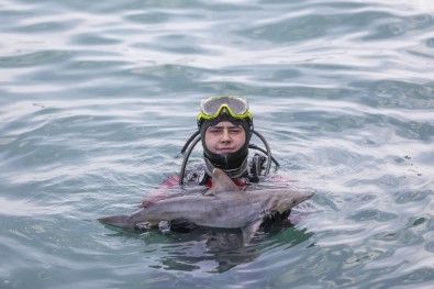 Denize Bırakılan Atıl Ağlar Köpek Balığı Yavrusunun Ölümüne Neden Oldu