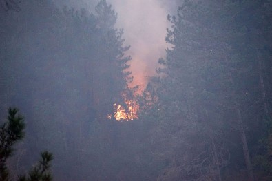 Kastamonu'da 3 Ev Ve Ormanlık Alanı Kül Eden Yangın Sürüyor