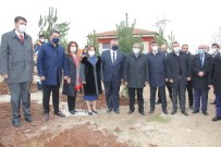 Gaziantep'te 330 Adet Karaçam Ağacı Toprakla Buluştu Haberi