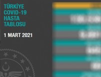 Koronavirüste son durum!