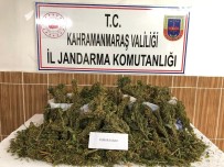 Kahramanmaraş'ta Uyuşturucu Operasyonunda 3 Gözaltı