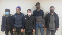 Osmaniye'de Afgan Uyruklu 5 Göçmen Yakalandı Haberi