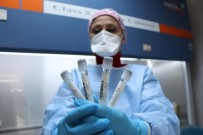 Samsun'da 10 Farklı Merkezde PCR Testi Yapılıyor Haberi