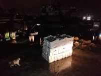 Yenikapı'da Su Ürünleri Denetiminde 25 Kasa Lüfere El Konuldu