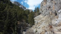 90 Milyon Yıllık Fosillerin Bulunduğu Alara-Geyik Dağı'nın Milli Park Olması İçin Başvuru Yapıldı