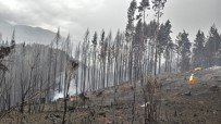 Arjantin'de Orman Yangınları Günlerdir Devam Ediyor