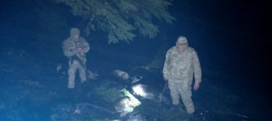 Yıldırım Düştü 41 Hayvan Telef Oldu