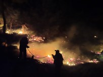 Antalya'daki Yangında 1 Hektar Kızılçam Ormanı Zarar Gördü