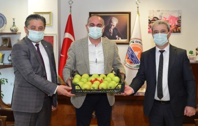 Bayramiç'in Elmasının Da, Gemlik'in Zeytinin De Derdi Aynı