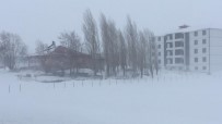 Bingöl'de Kar Ve Tipi Nedeniyle Karlıova'da Okullar Tatil Edildi Haberi