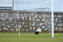 Binlerce Kilometre Geldi Stadyuma Kondu