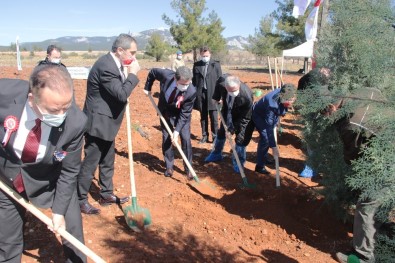 İstiklal Marşı'nın 100'Üncü Yıl Hatıra Ormanı