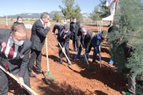 İstiklal Marşı'nın 100'Üncü Yıl Hatıra Ormanı