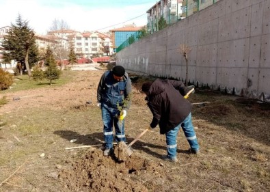 Keçiören'de Ağaçlar Öğrencilere Emanet