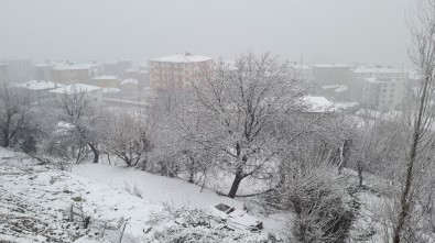 Kulp Mart Ayında Beyaza Büründü