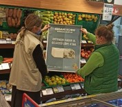 Tekirdağ'da Gıda Ve Toplu Tüketim Yerleri Denetlendi