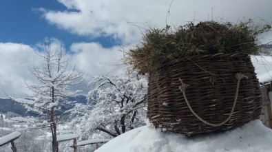 Artvin'de Büyüleyen Kış Manzaraları