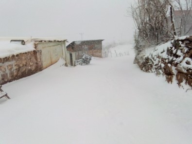 Batman'da Kar Yağışı Nedeniyle Kapanan Köy Yolları Ulaşıma Açılıyor
