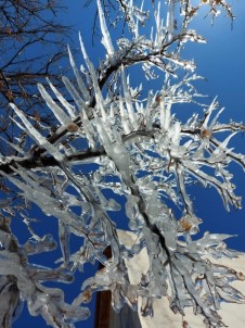 Bayburt'ta Kar Yağışının Ardından Soğuk Hava Etkisini Artırdı