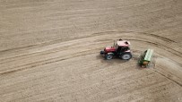 Atıl Tarım Arazileri Üretime Kazandırılıyor Açıklaması 160 Kilogram Tohumdan 13 Ton Çörekotu Elde Edilecek