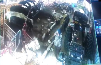 Isparta'da Şap Aşısı Sırasında Hayvanlar Ahırın Demirlerini Söktü