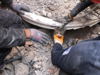 İzmir İtfaiyesi 5 Bin Hayvan Kurtardı