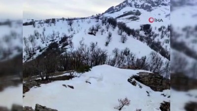 Siirt-Bitlis Sınırında PKK'lı Teröristlerin Araziye Tuzakladığı Basma Düzenekli 8 Patlayıcı İmha Edildi