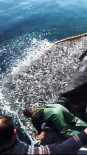 Balıkçılardan Örnek Hareket Açıklaması Binlerce Kefal Yavrusunu Denize Bıraktılar